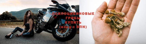 Альфа ПВП Баксан