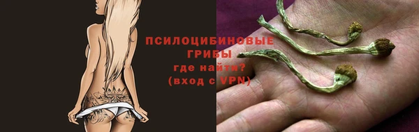 стаф Балабаново
