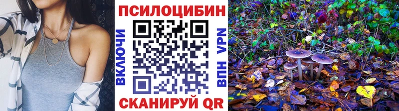 купить наркоту  Усмань  Псилоцибиновые грибы GOLDEN TEACHER 